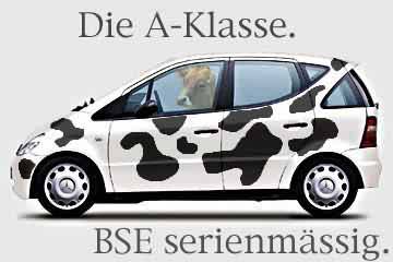 error displaying image